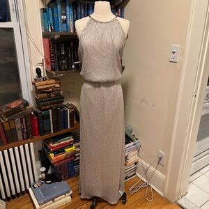 Elegant Silver Evening Gown
